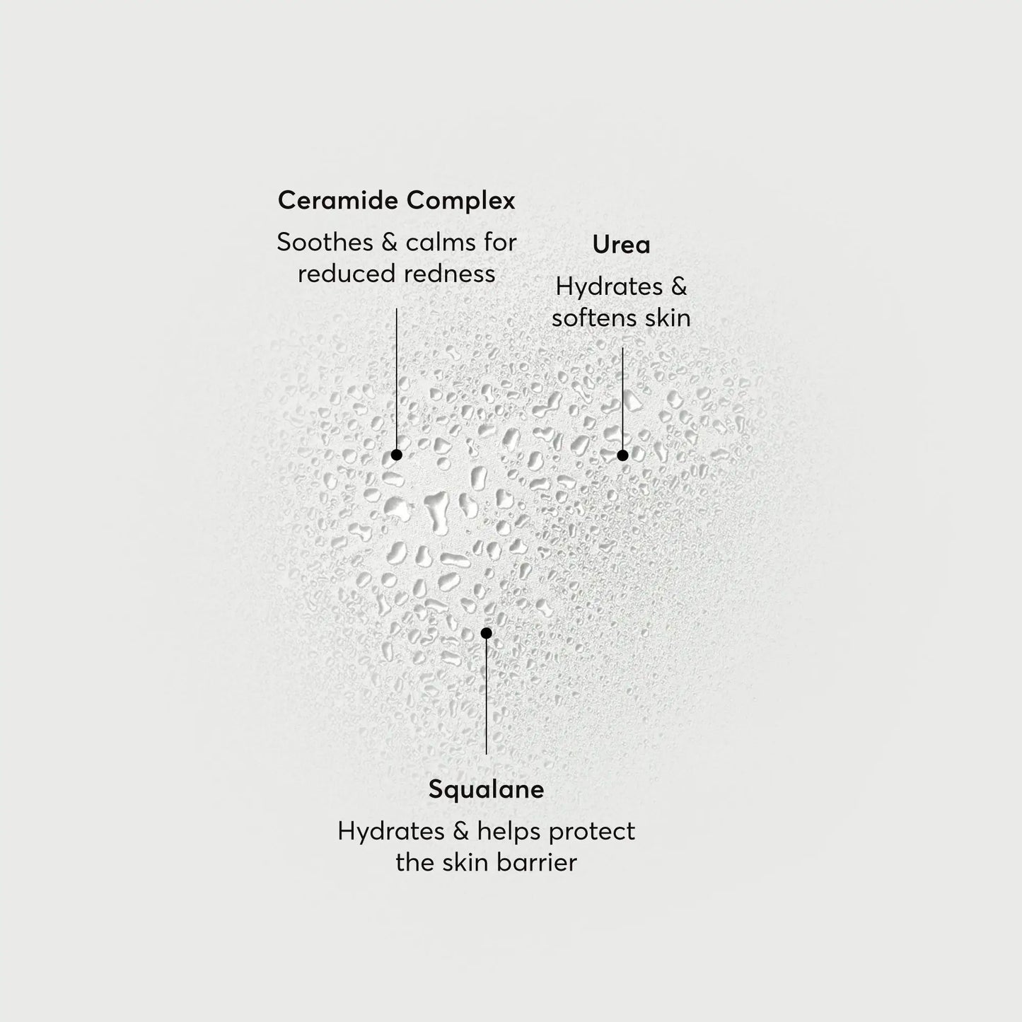 barrier-bounce-bi-phase-mist-q1 NATR-10167-Alt-Images-Barrier-Bounce-Bi-Phase-Toner-Mist_01.webp