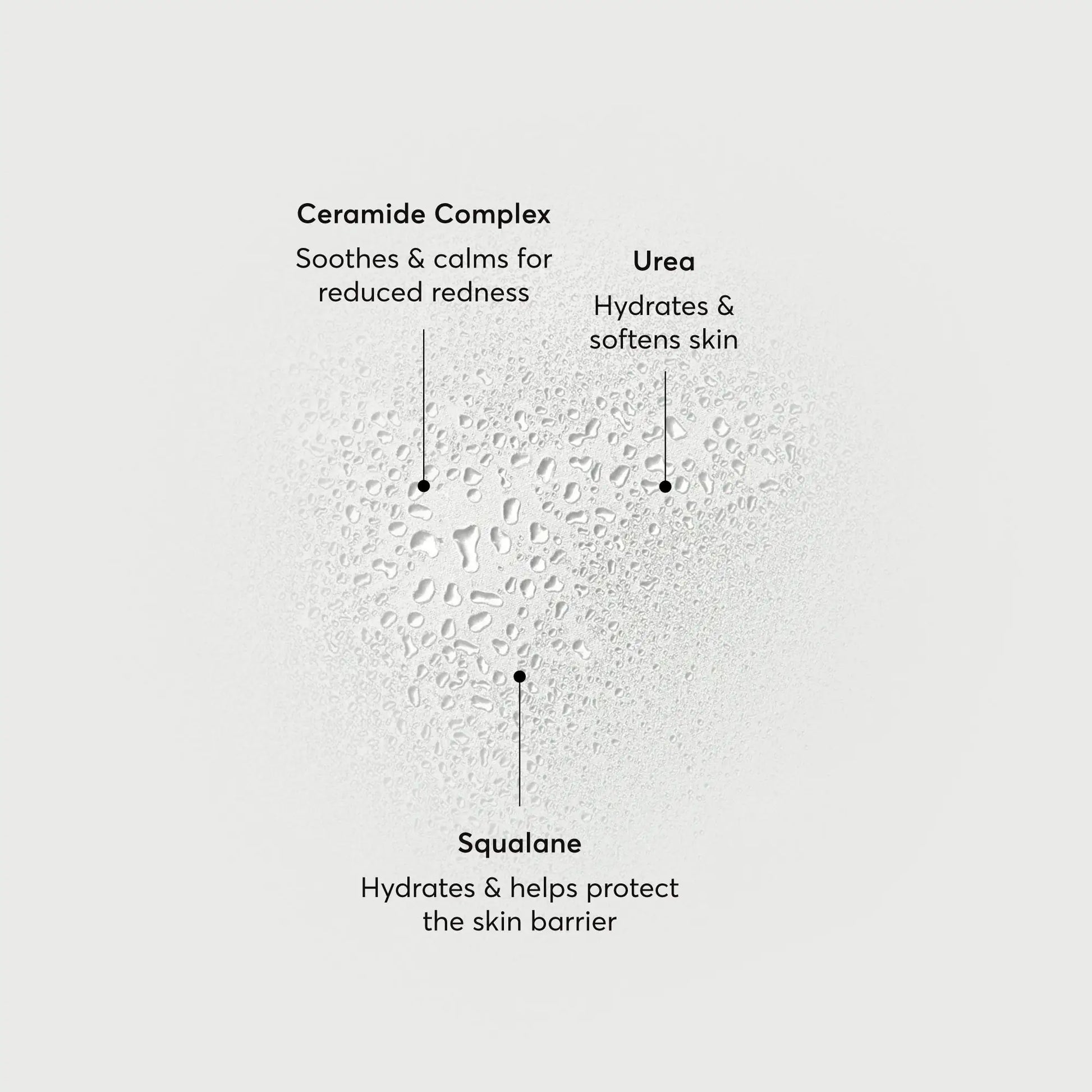 barrier-bounce-bi-phase-mist-q1 NATR-10167-Alt-Images-Barrier-Bounce-Bi-Phase-Toner-Mist_01.webp