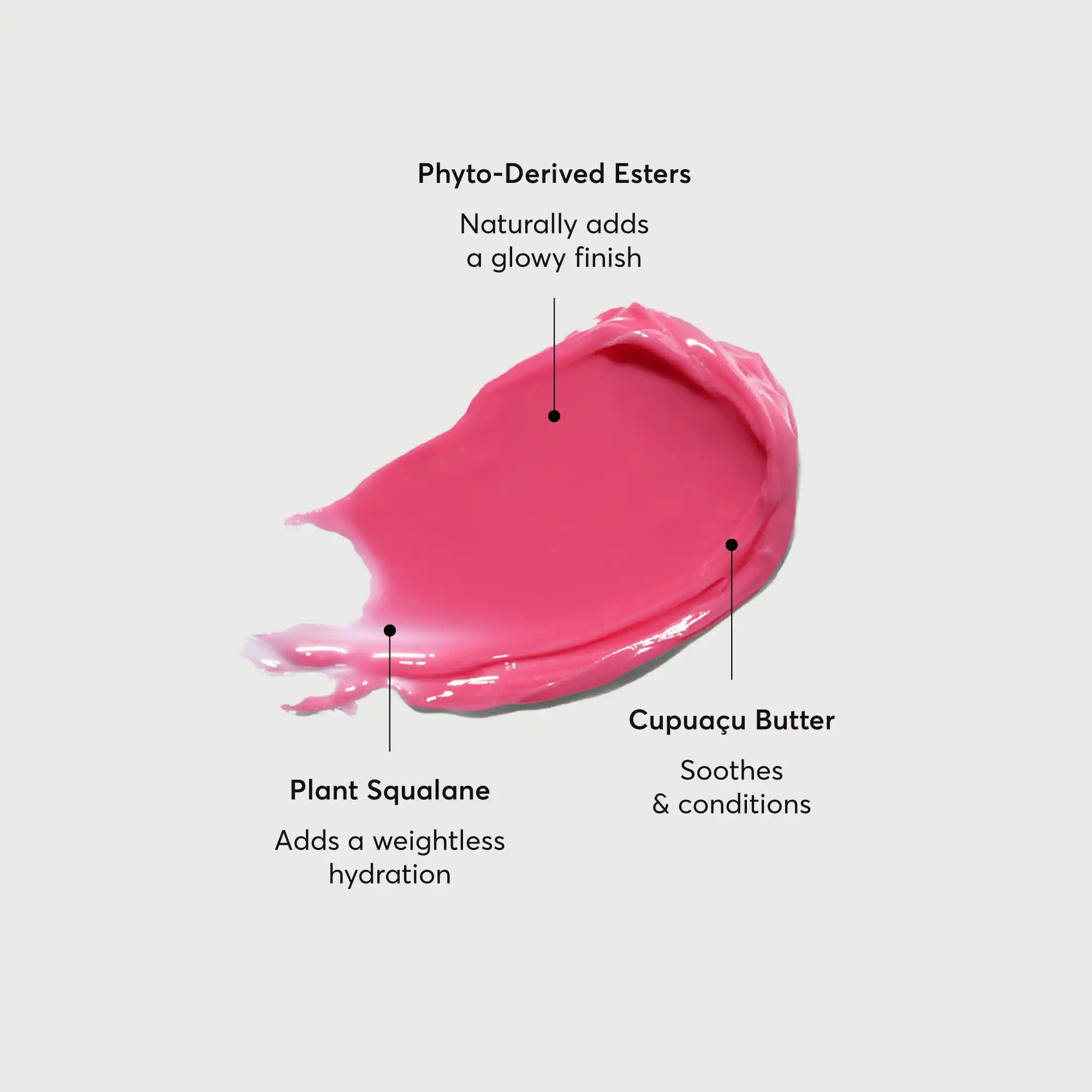 phyto-glow-lip-balm-camellia-k6 NATR-60075-Alt-Images-Phyto-Glow-Lip-Balm-Camellia-01.webp